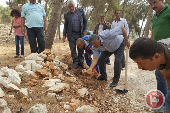 قلقيلية- يوم تطوعي في أحراش بلدة عزبة الطبيب