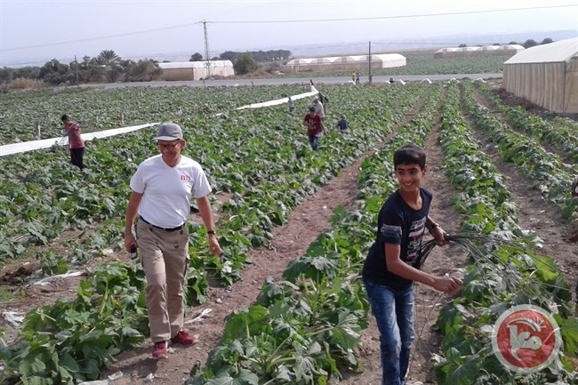 &quot;العمل الزراعي&quot; ينفذ حملتي تضامن مع مزارعي الأغوار الفلسطينية