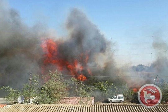 شرطة إسرائيل تعتقل 5 فلسطينيين قرب أحد الحرائق