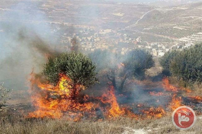 الدفاع المدني يتعامل مع 80 حادث حريق في الضفة