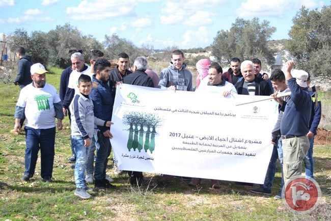 اتحاد جمعيات المزارعين ينفذ فعالية لزراعة الزيتون في طولكرم