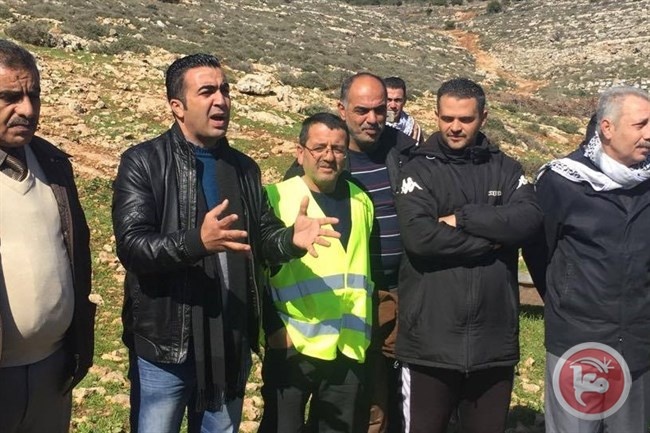 متطوعو المجلس الاعلى يغرسون اشتال الزيتون في واد فوكين