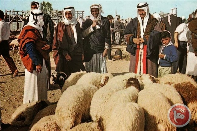 بلدية بئر السبع تغلق السوق البدوية التاريخي