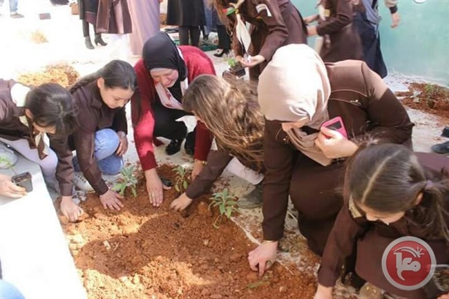بلدية قلقيلية تنفذ نشاطا زراعيا في مدرسة الاسراء