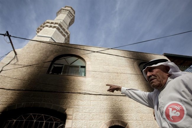 89 اعتداء استيطانيا على الفلسطينيين انتهت 4 منها بلوائح اتهام