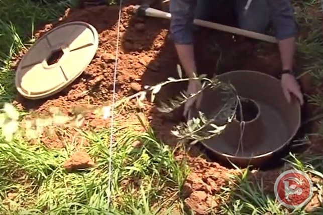 الزراعة بـ&quot;الشرنقات&quot;.. لأول مرة في فلسطين