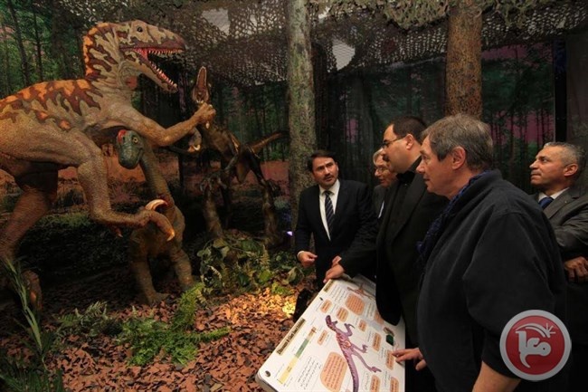 بعد أن جال العالم- متحف ديناصورات وحشرات في بيت لحم