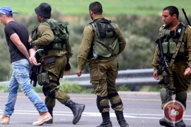 الاحتلال يعتقل 14 شابا في الضفة