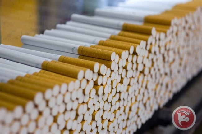 مائة مختص يدعون منظمة الصحة العالمية إلى إعادة النظر بشأن موقفها تجاه الحد من أضرار التبغ