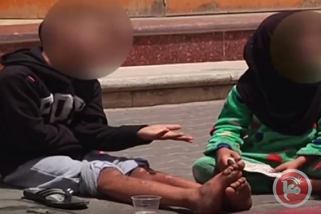 بيت لحم حملة لحماية الاطفال العاملين في الشوارع