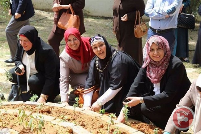 افتتاح حديقة طبية في مدرسة بنات العمرية الثانوية