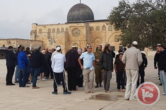 الاردن: اقتحام الاقصى اساءة لكافة جهود اطلاق المفاوضات