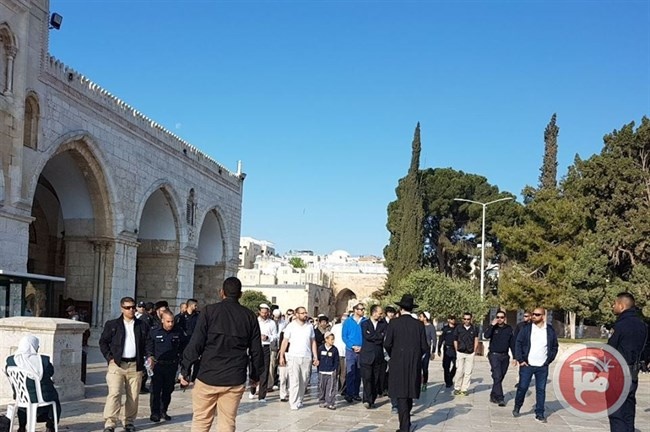 الحكومة: إغلاق المسجد الأقصى أمام المصلين يتنافى مع القيم الإنسانية