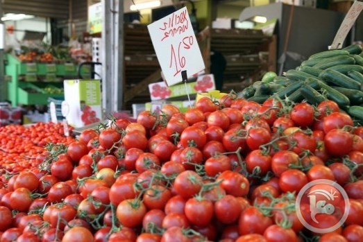 لمواجهة الأسعار- اسرائيل تعفي الطماطم من الجمارك