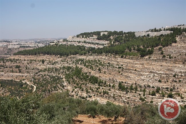 العثور على جثة قرب مستوطنة جيلو