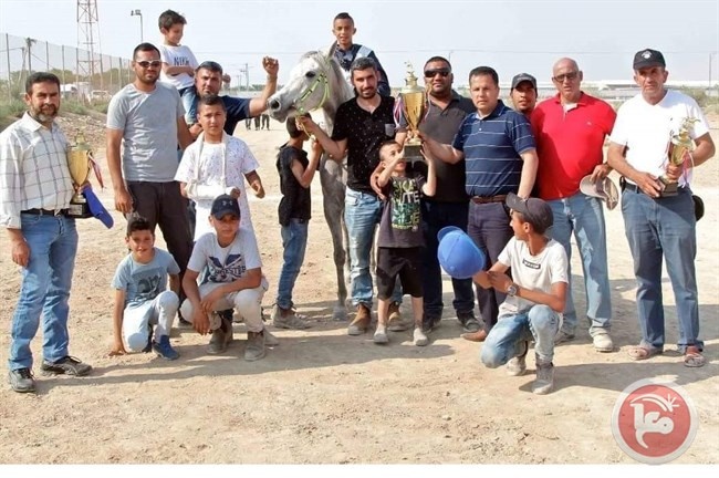 النجاح يغلف الجولة التاسعة لسباق السرعة للخيول العربية الاصيلة