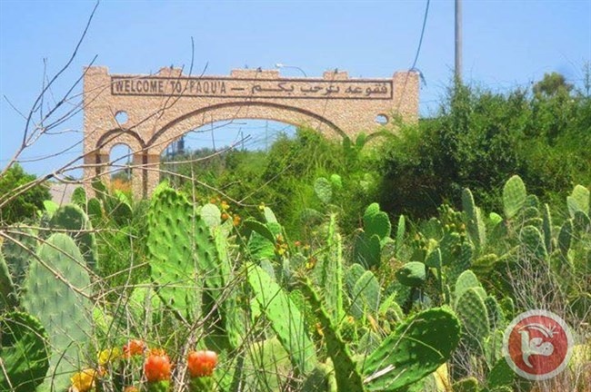 فقوعة صغيرة بمساحتها كبيرة بانجازاتها