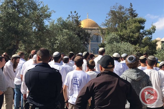 اقتحامات واسعة للأقصى في ذكرى احتلال القدس
