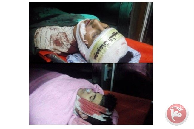 الخارجية: جريمة جنين تشويش مقصود على لقاءات &quot;غرينبلات&quot;