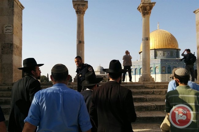 اسرائيل تسمح لليهود بدخول المسجد الاقصى