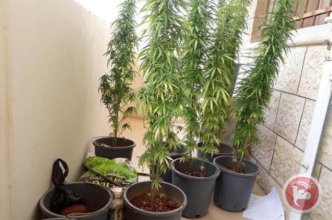 ضبط موقع لتصنيع مواد مخدرة جنوب نابلس