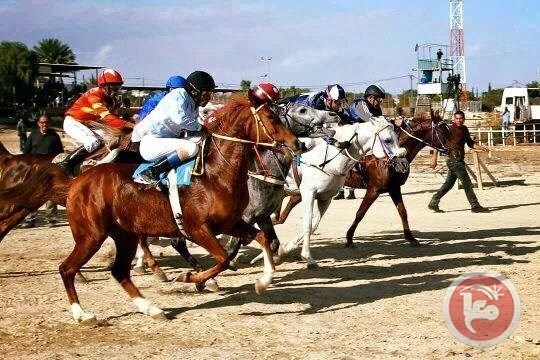 منافسة قوية في سباق خيول السرعة بدير غزالة