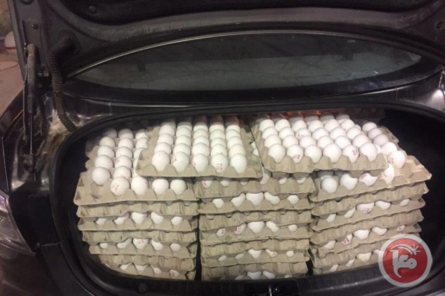 مصادرة 3 آلاف بيضة كانت في طريقها من الضفة إلى القدس