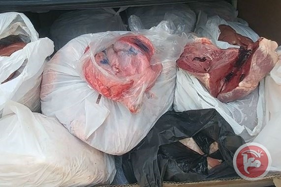 اتلاف 80 كغم سمك غير صالحة للاستهلاك في نابلس