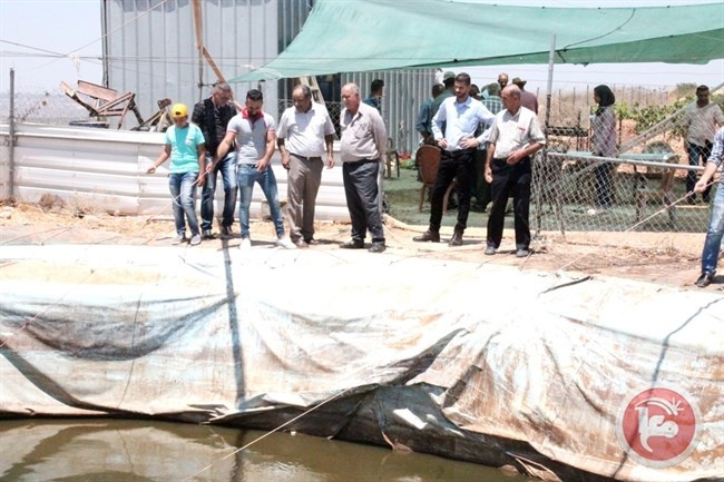رئيس هيئة مقاومة الجدار ومحافظ سلفيت يتفقدان عددا من المشاريع الزراعية