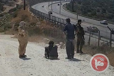 الاحتلال يعتقل اب وابنته من بلدة الزاوية