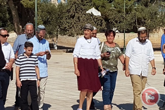 الأردن: رفع الحظر عن اقتحام أعضاء الكنيست للأقصى يزيد التصعيد