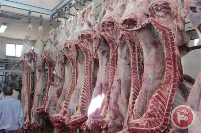 من يحدد اسعار اللحوم في الاسواق؟ 