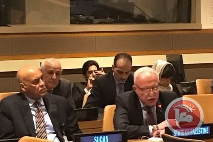 فلسطين تشارك في الاجتماع التشاوري بالامم المتحدة