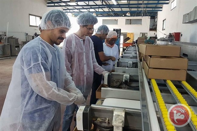 &quot;المستهلك &quot;نظم جولة في مزارع النخيل ومحطات التعبئة