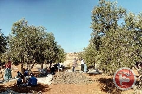 اتحاد لجان العمل الزراعي تواصل دعم المزارعين في بيت لحم