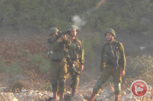 صورة من الأرشيف