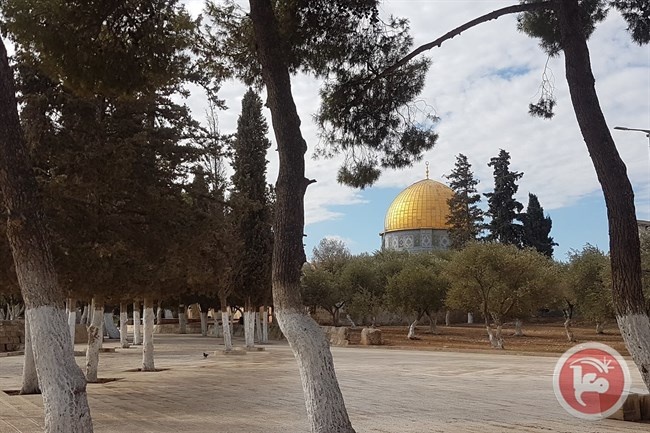 التشيك تنضم لأمريكا وتعترف بالقدس عاصمة لإسرائيل