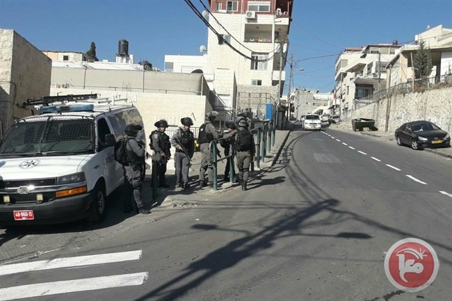 خطط لعزل القدس وتصاعد الانتهاكات في موسم الزيتون