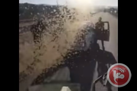 فيديو- 3 فلسطينيين يهاجمون حافلة تقل جنودا إسرائيليين