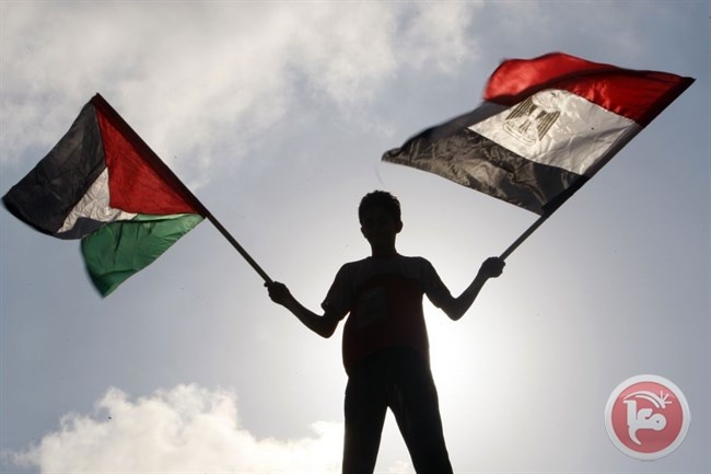 تحالف المنظمات والمؤسسات الفلسطينية في بلجيكا يتضامن مع مصر