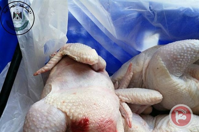 اتلاف نصف طن دجاج غير صالح للاستهلاك في نابلس
