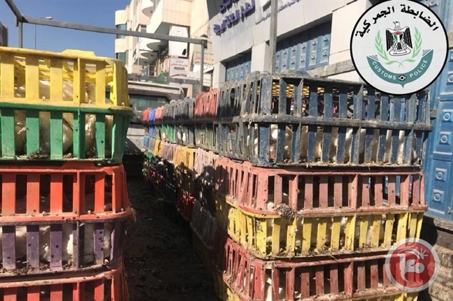اتلاف 3 طن دجاج حي للاستهلاك بالخليل