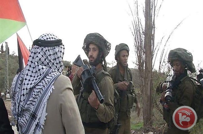حماس تدعو لحراك وطني شامل من أجل حماية الأرض
