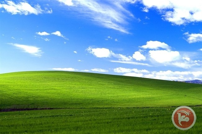 هذه الصورة هي الأكثر مشاهدة في التاريخ.. هذه قصتها
