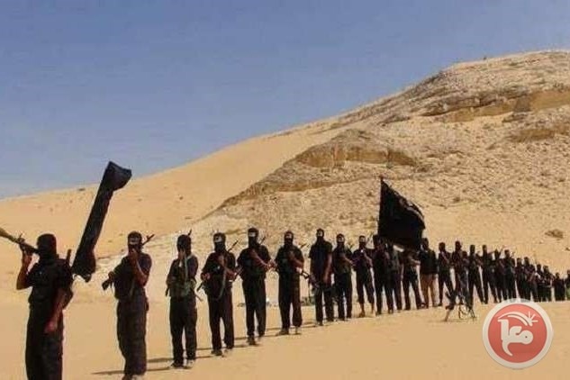 هكذا ينتقل مقاتلو داعش من الرقة الى سيناء