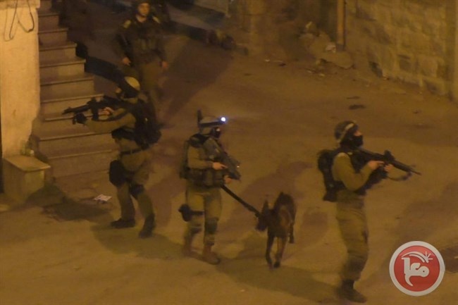 Occupation forces raided Beit Ummar at dawn today