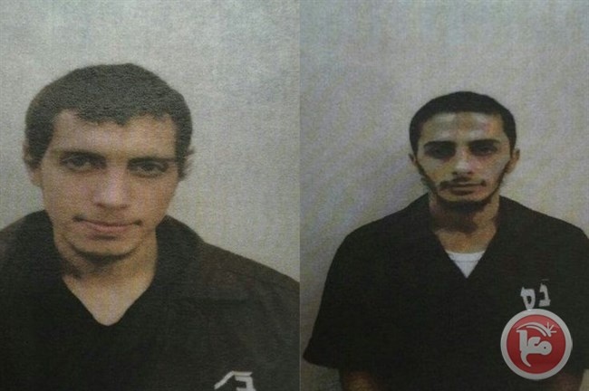 السجن لثلاثة شبان من الطيبة بتهمة تأييد &quot;داعش&quot;