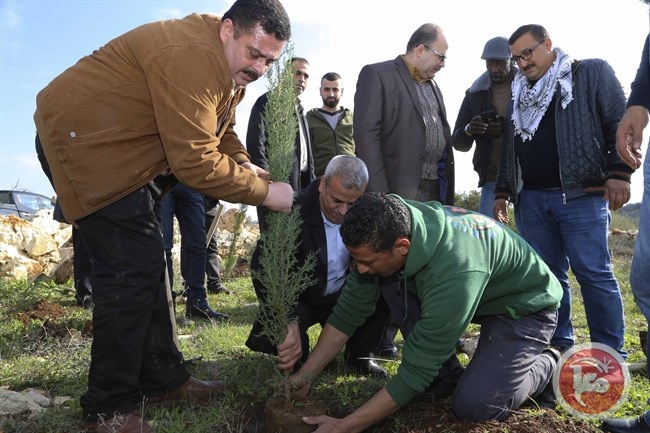 الاحتفال بيوم الشجرة بزراعة الأشجار في عزبة الطيب