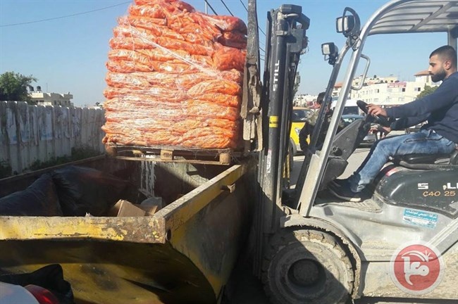 اتلاف بصل وجزر غير صالحين للاستهلاك الادمي