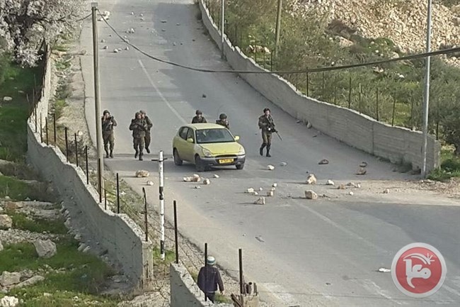 صور- جنود الاحتلال ومستوطنون يقتحون مدرسة تقوع